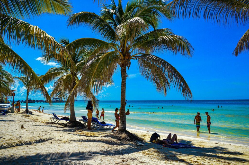people on beach during daytime