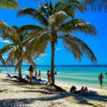 people on beach during daytime